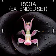 Amber's Presents: Ryota (Extended Set) at Amber's