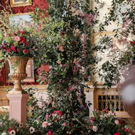 Harewood in Bloom at Harewood House