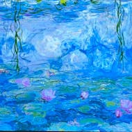 Conscious connected breath workshop at SOMA HOME