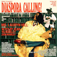 Diaspora Calling! Festival at The National Bowl