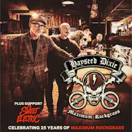 Hayseed Dixie at Old Fire Station
