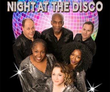 The Ultimate Night at the Disco