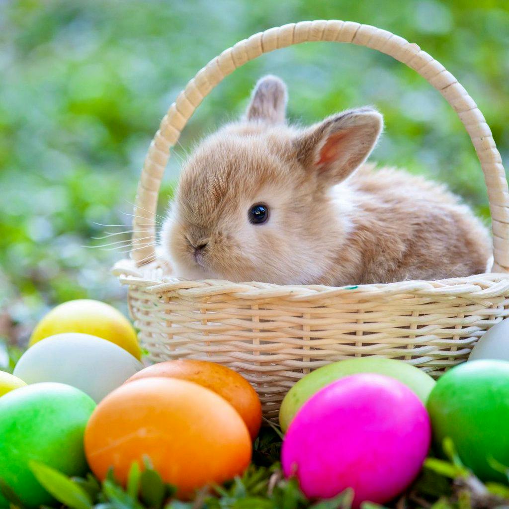 'Little Something' Easter Drinks For Singles in Coulsdon at The Long Bar And Grill, Harbour Hotel