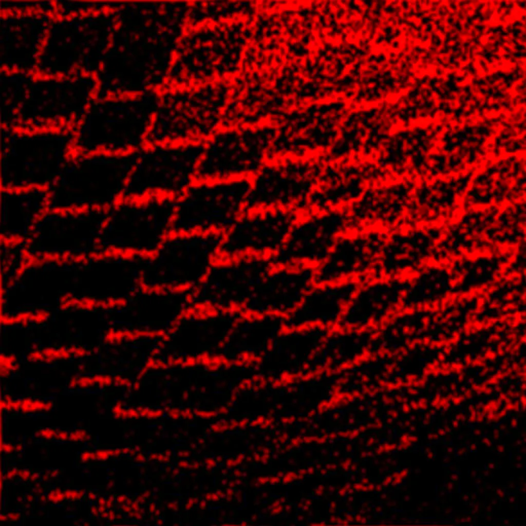 Good Custard @ Redlight x Swales, Roisin W and DJ Batehoven at Redlight