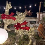 Rooftop coffee shop serving mulled wine and mince pies! at Jacobs Roof Garden