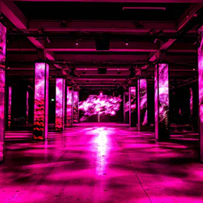 SUNANDBASS Recordings Amsterdam