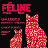 FÉLINE W/ Gallegos / Conor Schmtz /Cooke at Ulster Sports Club