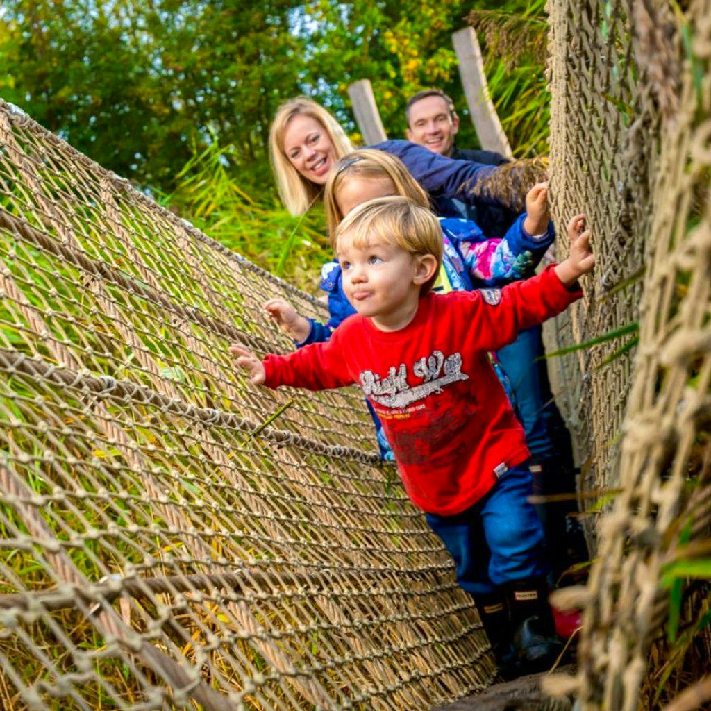 Easter Holidays at WWT London Wetland Centre