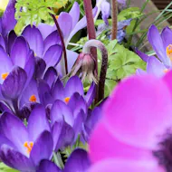 A Splash of Colour Photography Exhibition at Bray House, Ascot House And Osprey House