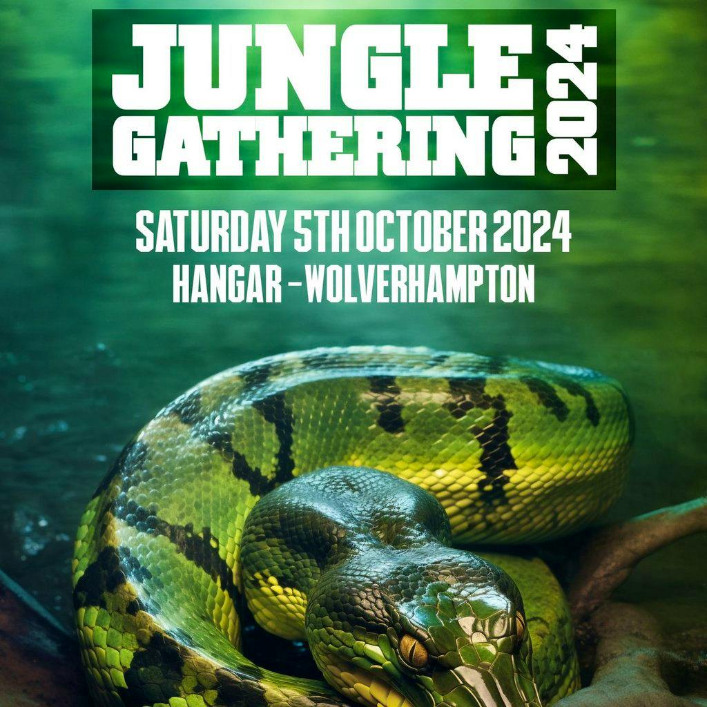 Jungle Gathering Pre Sale 2024 Tickets The Hangar Wolverhampton Sat   1644790 18bee33a Jungle Gathering 2024 1024 