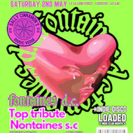 Fontaines D.C tribute night with INDIE DISCO at Sally Cinnamon's Music Venue