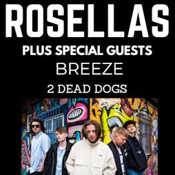 Our Sound Music Presents Rosellas, Breeze & 2 Dead Dogs Tickets | ORILEYS LIVE MUSIC VENUE Hull  | Wed 1st December 2021 Lineup