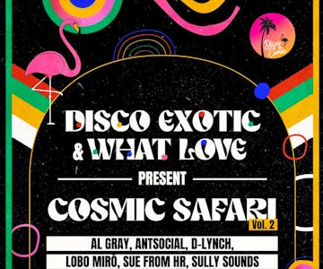 Disco Exotic & What Love present Cosmic Safari II
