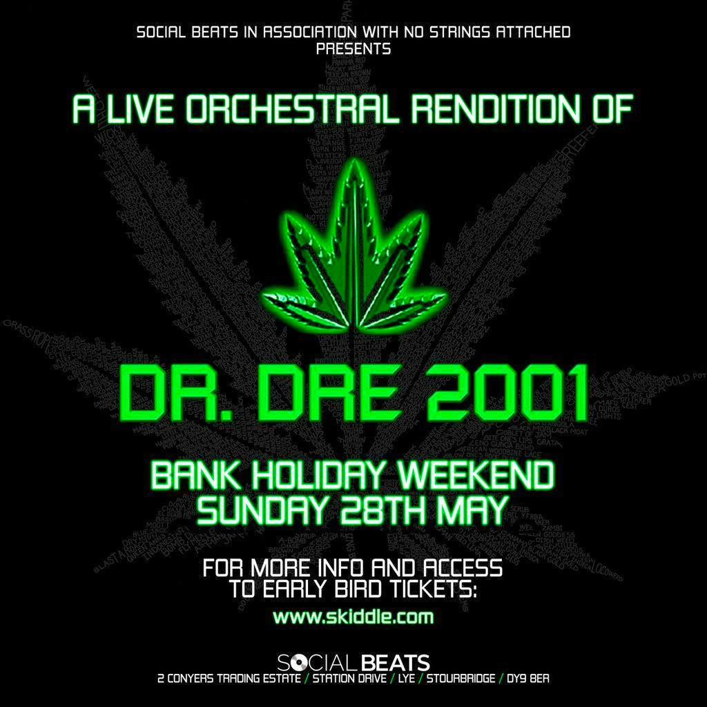 An Outdoor Orchestral Rendition of Dr Dre: 2001 | Social Beats Lye