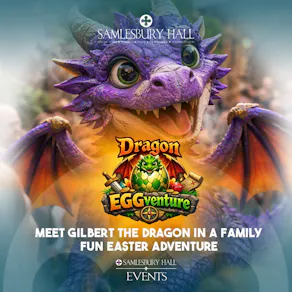 Dragon EGGventure