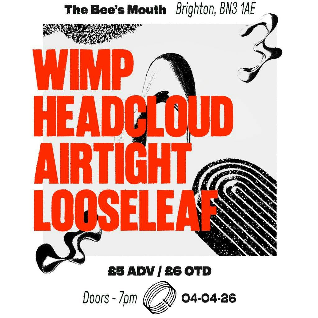 Wimp + Headcloud + AIRTIGHT + Looseleaf at The Bees Mouth