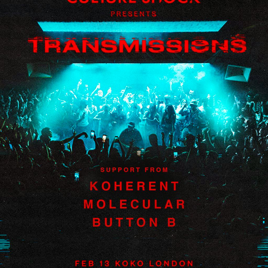 Culture shock at KOKO