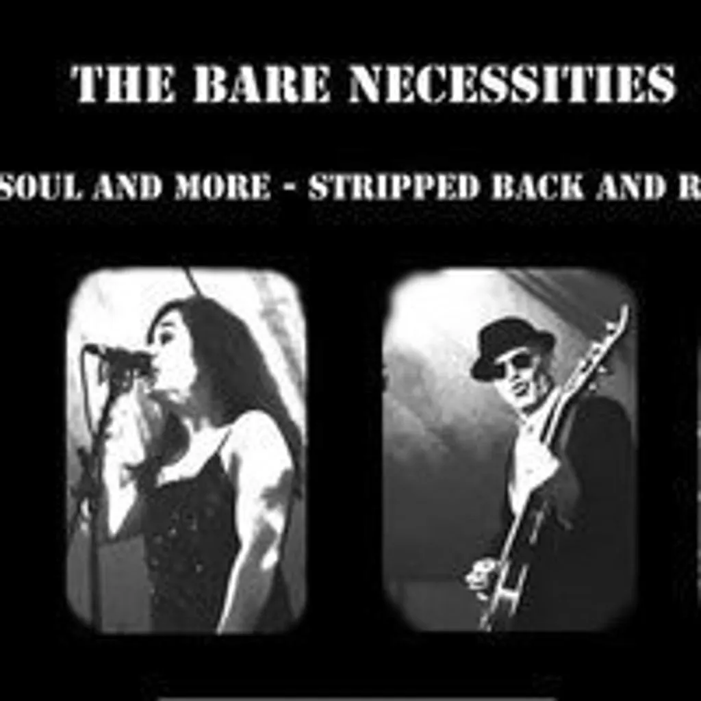 The Bare Necessities - Live @ Billy's at Billy Bootleggers Bar