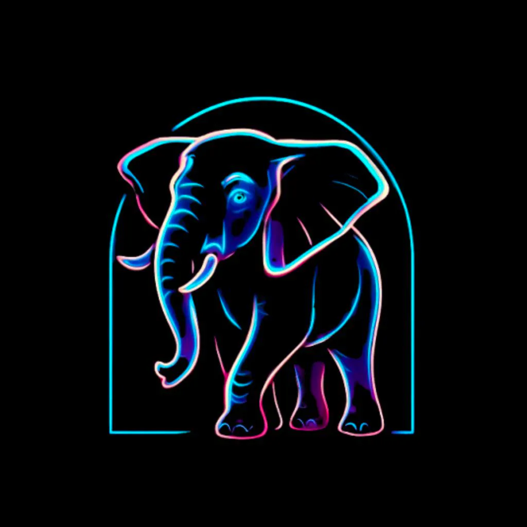 Elephunk in the Room at Band On The Wall