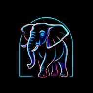 Elephunk in the Room at Band On The Wall
