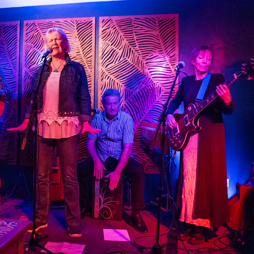 An Evening with Strawberry Moon and McDowell at The Back Room