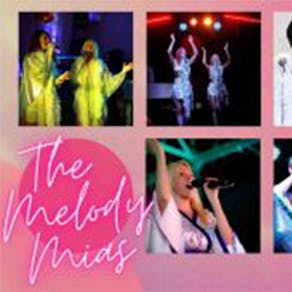 ABBA Tribute Night - Walsall