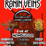 FREE: Ronin Veins/Imaginary Dreamers/Goblinaut/The Custard Sc at Nambucca