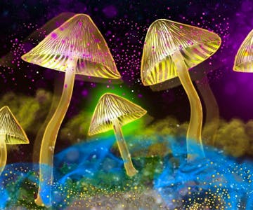 The Science of Psychedelics with Dr David Luke