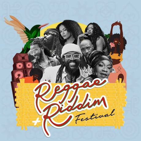 Reggae & Riddim Festival 2024 at Tredegar House