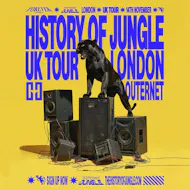 The History of Jungle at HERE At Outernet