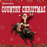 Xmas Country Hoedown Essex at The Barn Events And Venue Hire