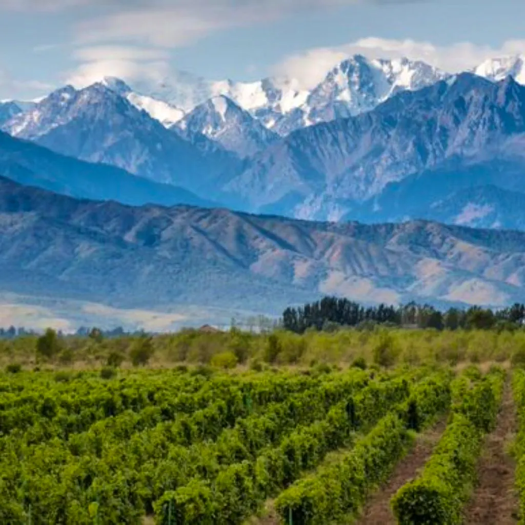 World of Wine: Discover South America! at Reading Biscuit Factory