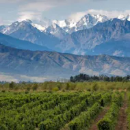 World of Wine: Discover South America! at Reading Biscuit Factory