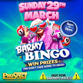 Barmy Bingo
