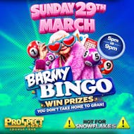 Barmy Bingo at Prospect Boston