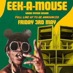 EEK A Mouse on a Sound System