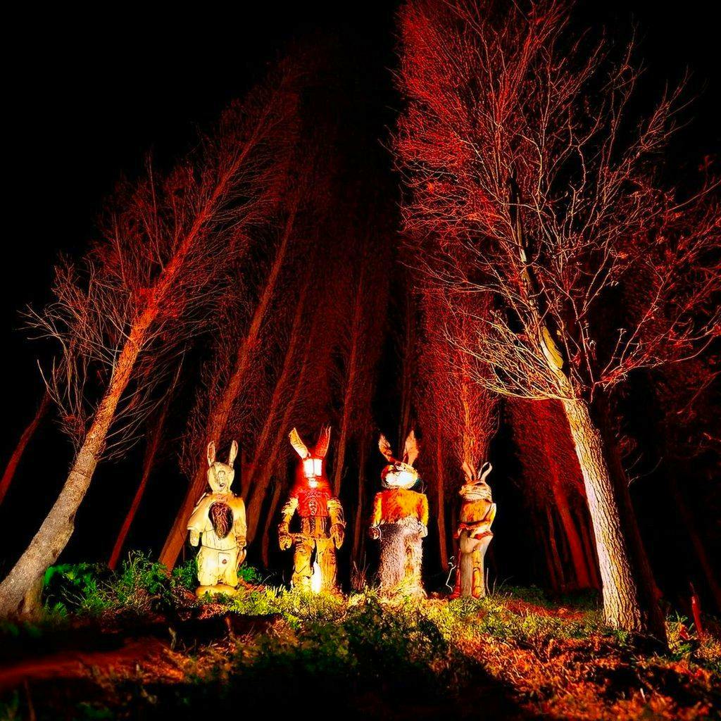 Echoes of the Bunnymen at The Continental