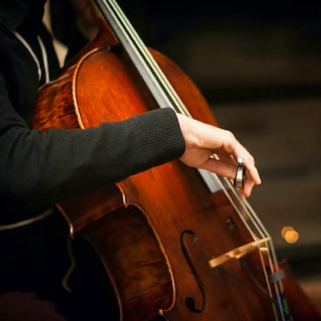 Bach Cello Suites by Candlelight at St Mary Le Strand