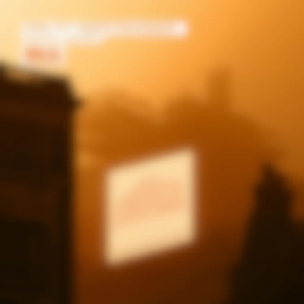 banner