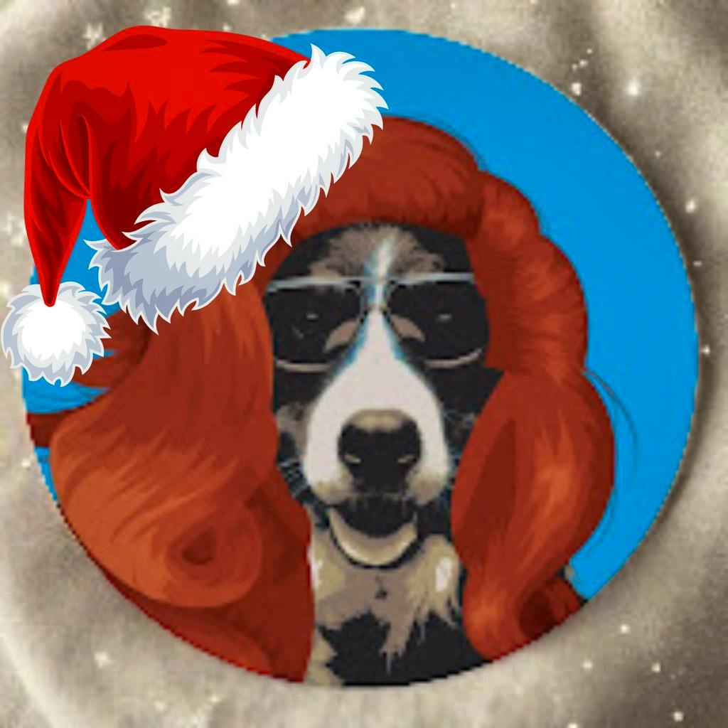 The Kings Heath Christmas Pantomime at Hare And Hounds Kings Heath