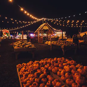 Pumpkin Patch Nights