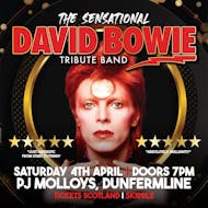 The Sensational David Bowie Tribute Band at PJ Molloys