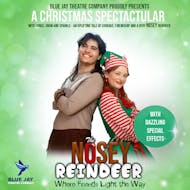 The Nosey Reindeer at CH64 4AY