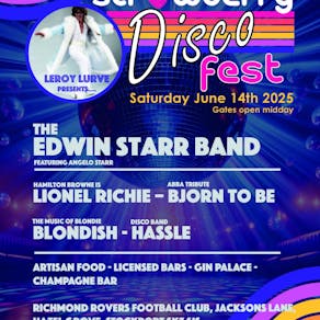 Strawberry Disco Festival