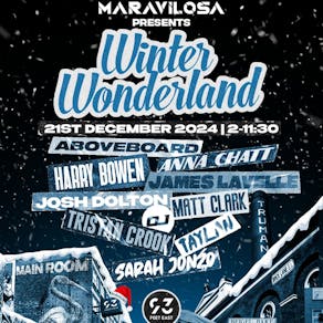 Maravilosa winter wonderland