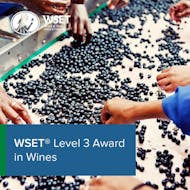 WSET Level 3 Award in Wines at Novotel Reading Centre