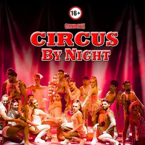 Gandeys Circus by Night Nottingham