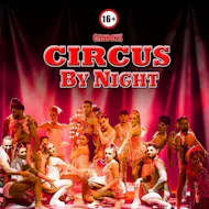 Gandeys Circus by Night Nottingham at Wollaton Hall Park, NG8 2AE