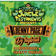 Jungle Testaments: Benny Page & DJ Hybrid at Audio Glasgow