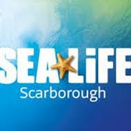 Sea Life Scarborough Standard Admission at Sealife Center Scarborough
